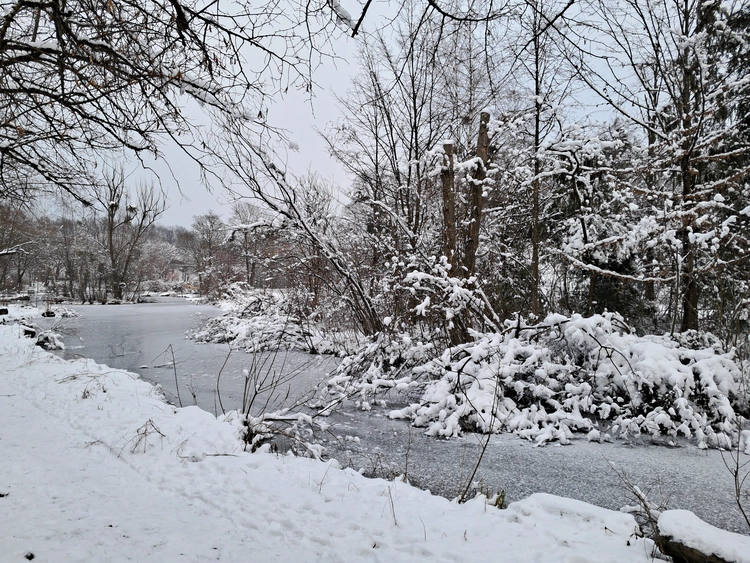 20240110_155236.jpg